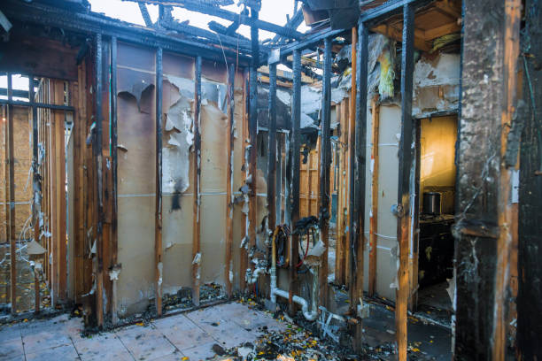 Professional Fire Damage Assessment technician working in Hamilton, VA