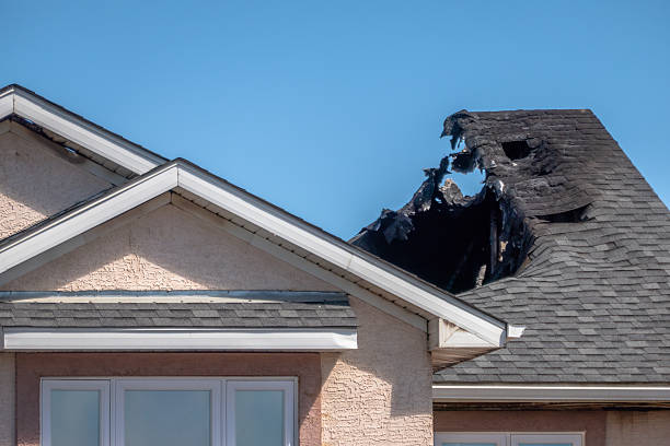 Top rated local Fire Damage Assessment specialists in Hamilton, VA